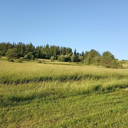 Villa Cicho Sza Czarna Góra Eksteriør bilde